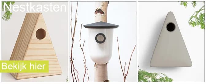 Nestkast Mezen Hout